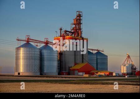 Melfort, Saskatchewan - 9 ottobre 2022: Terminale di grano Richardson Pioneer nella zona rurale di Saskatchewan. Foto Stock