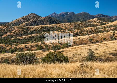 Santa Rita Montagne, sopra Ophir Gulch, vista dalla FS 163 strada, Coronado National Forest, Arizona, Stati Uniti Foto Stock