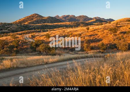 Santa Rita Montagne, alba, sopra Ophir Gulch, vista dalla FS 163 strada, Coronado National Forest, Arizona, Stati Uniti Foto Stock