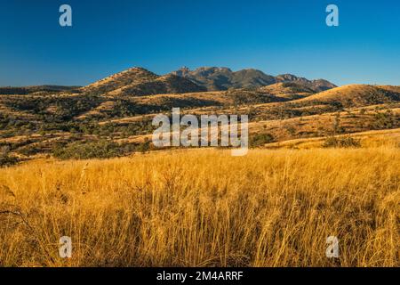 Santa Rita Montagne, sopra Ophir Gulch, vista dalla FS 163 strada, Coronado National Forest, Arizona, Stati Uniti Foto Stock