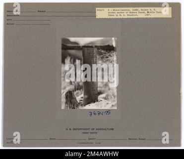 Monumenti storici - Idaho. Fotografie relative alle foreste nazionali, alle pratiche di gestione delle risorse, al personale e alla storia culturale ed economica Foto Stock