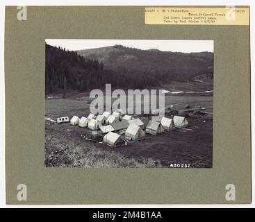 Controllo delle malattie - Wyoming. Fotografie relative alle foreste nazionali, alle pratiche di gestione delle risorse, al personale e alla storia culturale ed economica Foto Stock