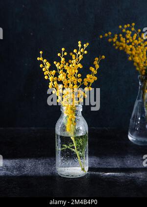 bottiglia di vetro con fiori mimosa gialli su fondo scuro. Concetto del 8 marzo, giorno della donna felice. Vista frontale Foto Stock