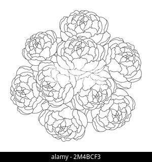 peony fiore bouquet doodle arte di fiore colorazione pagina contorno vettore grafico isolato sfondo Illustrazione Vettoriale