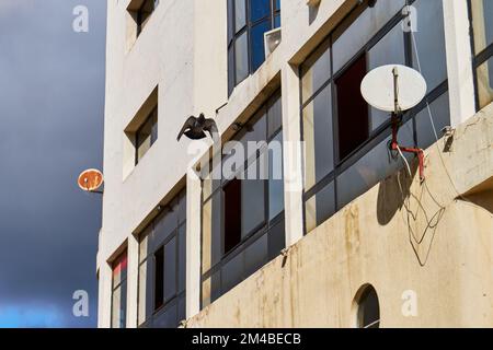 Piccioni che volano in una strada marocchina Foto Stock