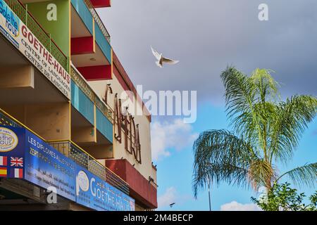 Piccioni che volano in una strada marocchina Foto Stock