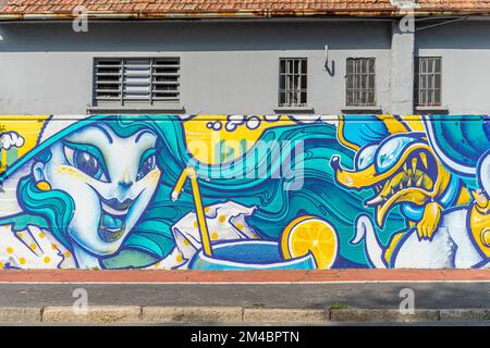 murales nel quartiere oggiaro, milano, italia Foto Stock