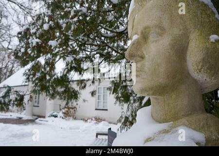 Coperto dalla neve Frederic Chopin arenaria busto di Stanisław Sikora di fronte alla casa natale di Chopin a Żelazowa Wola, Polonia. Foto Stock