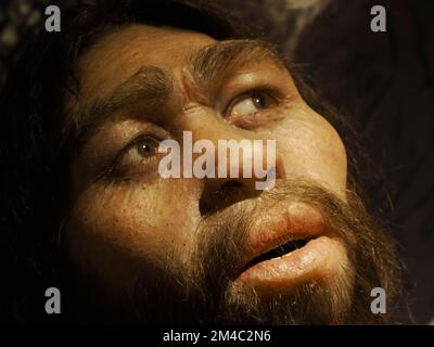 L'uomo preistorico di Neanderthal lucy Style Evolution mostra dettagli Foto Stock