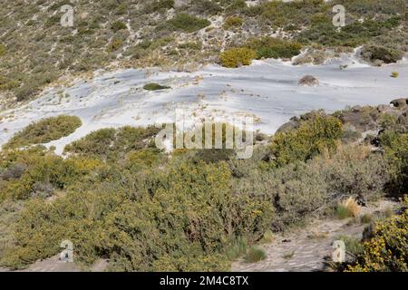 Paesaggio con dune e aree sabbiose a Paso Vergara - attraversando il confine dal Cile all'Argentina durante il viaggio in Sud America Foto Stock