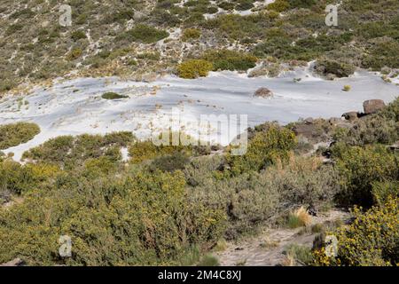 Paesaggio con dune e aree sabbiose a Paso Vergara - attraversando il confine dal Cile all'Argentina durante il viaggio in Sud America Foto Stock