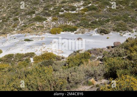 Paesaggio con dune e aree sabbiose a Paso Vergara - attraversando il confine dal Cile all'Argentina durante il viaggio in Sud America Foto Stock