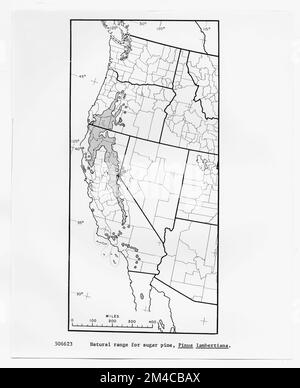 Mappe e grafici - tutti gli stati. Fotografie relative alle foreste nazionali, alle pratiche di gestione delle risorse, al personale e alla storia culturale ed economica Foto Stock