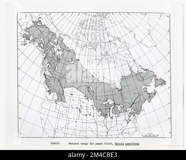 Mappe e grafici - tutti gli stati. Fotografie relative alle foreste nazionali, alle pratiche di gestione delle risorse, al personale e alla storia culturale ed economica Foto Stock