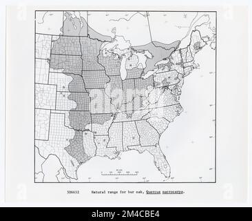 Mappe e grafici - tutti gli stati. Fotografie relative alle foreste nazionali, alle pratiche di gestione delle risorse, al personale e alla storia culturale ed economica Foto Stock