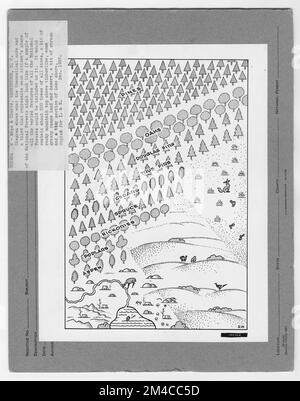 Mappe e grafici - tutti gli stati. Fotografie relative alle foreste nazionali, alle pratiche di gestione delle risorse, al personale e alla storia culturale ed economica Foto Stock