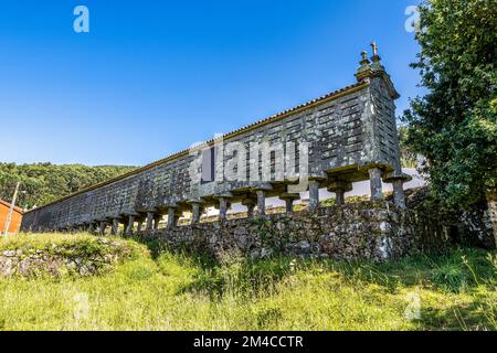 Il lungo e stretto magazzino di grano, horreo a Lira in Galizia, Spagna. Questo particolare horreo è rivendicato essere uno dei più grandi ed originali esempi e. Foto Stock