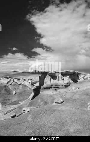 Fotografia del Re delle ali, una formazione bizzarra, erosa di roccia e argilla, vicino a Nageezi, New Mexico, USA. Foto Stock