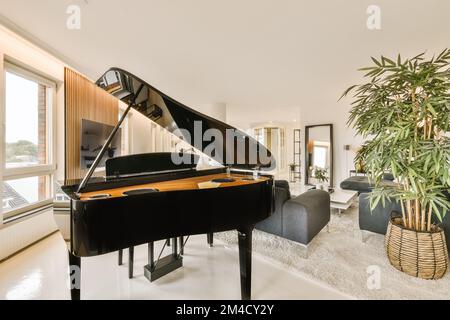un soggiorno con un pianoforte a coda al centro e una grande pentola di piante sul lato destro Foto Stock