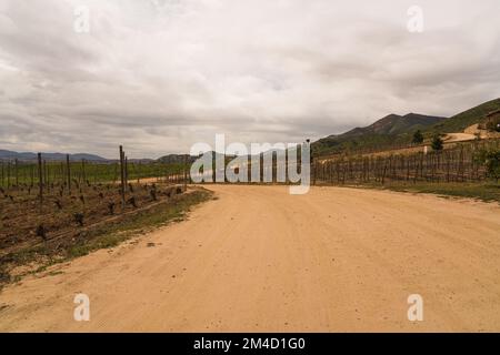 Strada sterrata nella valle messicana Foto Stock