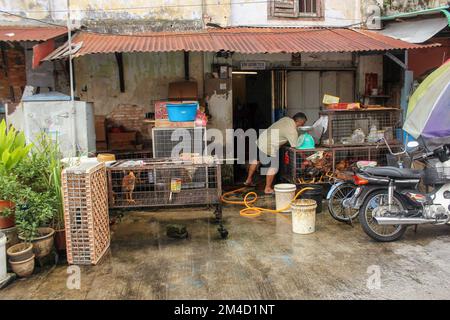 Georgetown, Penang, Malesia - Novembre 2012: Un negozio di pollame rustico in una strada di mercato nella città storica di George Town, Penang. Foto Stock