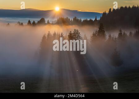 Nebbia divisa dai raggi del sole. Un'immagine paesaggistica di un'alba nebbiosa. Una bella alba su una montagna nebbiosa. Foto Stock