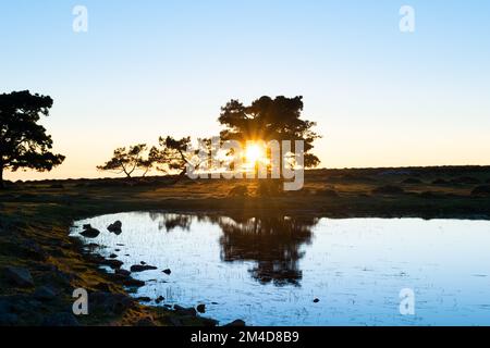 Bellissimo tramonto in montagna con il sole che si nasconde dietro un albero Foto Stock