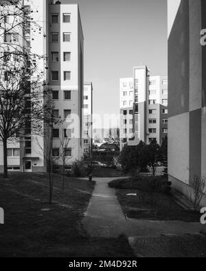 Uno scatto verticale in scala di grigi degli edifici degli appartamenti con cortile durante il giorno Foto Stock