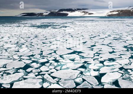 Antartide, Pitt Point. Mare rotto ghiaccio paesaggio. Foto Stock