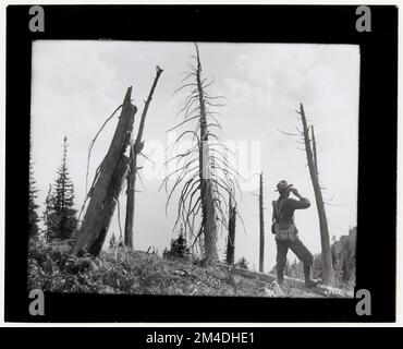 Lookouts - Patrols, Generale. Fotografie relative alle foreste nazionali, alle pratiche di gestione delle risorse, al personale e alla storia culturale ed economica Foto Stock