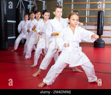 I bambini si posano insieme, praticando il karate si muove Foto Stock