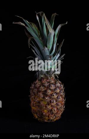 Ananas intero e foglie su sfondo nero Foto Stock