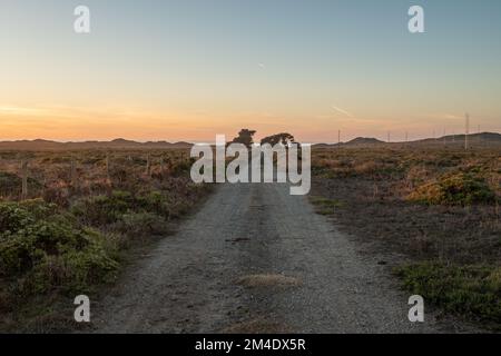 Strada sterrata che conduce ad alberi e vecchia struttura a Point Reyes National Seashore Foto Stock