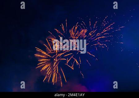 Fuochi d'artificio blu luminosi e belli nel cielo notturno. Foto Stock