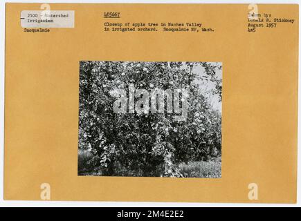 Usi dell'acqua - irrigazione - canali/ fumi. Fotografie relative alle foreste nazionali, alle pratiche di gestione delle risorse, al personale e alla storia culturale ed economica Foto Stock