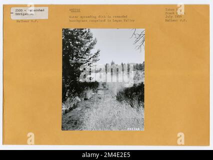 Usi dell'acqua - irrigazione - canali/ fumi. Fotografie relative alle foreste nazionali, alle pratiche di gestione delle risorse, al personale e alla storia culturale ed economica Foto Stock