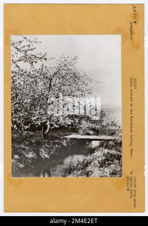 Usi dell'acqua - irrigazione - canali/ fumi. Fotografie relative alle foreste nazionali, alle pratiche di gestione delle risorse, al personale e alla storia culturale ed economica Foto Stock