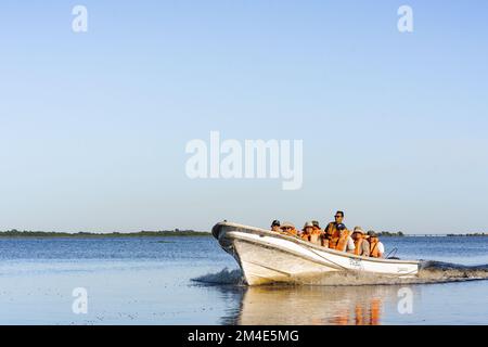 COLONIA CARLOS PELLEGRINI, CORRIENTES, ARGENTINA - 21 NOVEMBRE 2021: Un motoscafo con turisti che viaggiano attraverso la laguna di Ibera nelle paludi di Ibera, Co Foto Stock