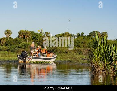 COLONIA CARLOS PELLEGRINI, CORRIENTES, ARGENTINA - 19 NOVEMBRE 2021: Un gruppo di turisti con una guida locale osservare la fauna locale in Ibera Foto Stock