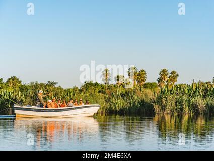 COLONIA CARLOS PELLEGRINI, CORRIENTES, ARGENTINA - 19 NOVEMBRE 2021: Una guida turistica spiega ad un gruppo di turisti la fauna selvatica nelle paludi di Ibera Foto Stock