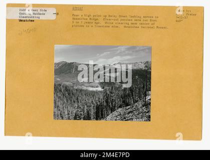 Cancella taglio - striscia. Fotografie relative alle foreste nazionali, alle pratiche di gestione delle risorse, al personale e alla storia culturale ed economica Foto Stock