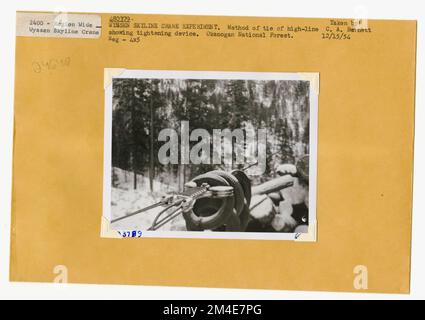 Cancella taglio - striscia. Fotografie relative alle foreste nazionali, alle pratiche di gestione delle risorse, al personale e alla storia culturale ed economica Foto Stock