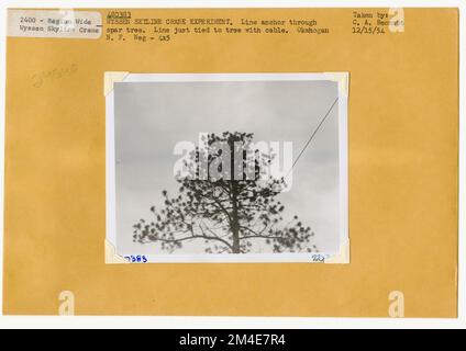 Cancella taglio - striscia. Fotografie relative alle foreste nazionali, alle pratiche di gestione delle risorse, al personale e alla storia culturale ed economica Foto Stock