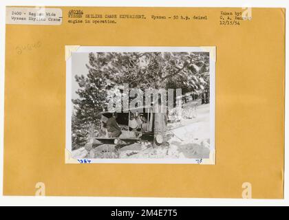 Cancella taglio - striscia. Fotografie relative alle foreste nazionali, alle pratiche di gestione delle risorse, al personale e alla storia culturale ed economica Foto Stock