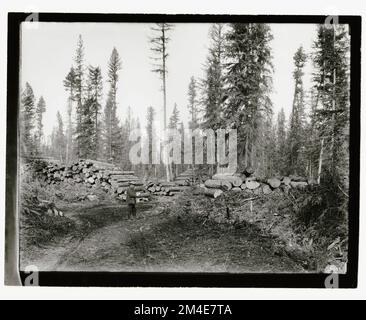 Cancella taglio - striscia. Fotografie relative alle foreste nazionali, alle pratiche di gestione delle risorse, al personale e alla storia culturale ed economica Foto Stock
