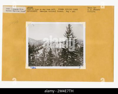 Cancella taglio - striscia. Fotografie relative alle foreste nazionali, alle pratiche di gestione delle risorse, al personale e alla storia culturale ed economica Foto Stock