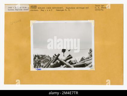 Cancella taglio - striscia. Fotografie relative alle foreste nazionali, alle pratiche di gestione delle risorse, al personale e alla storia culturale ed economica Foto Stock