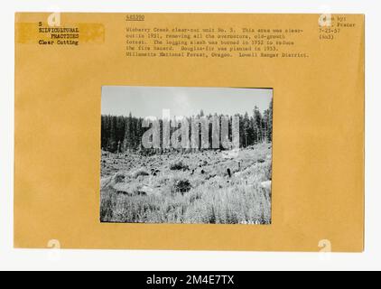 Cancella taglio - striscia. Fotografie relative alle foreste nazionali, alle pratiche di gestione delle risorse, al personale e alla storia culturale ed economica Foto Stock