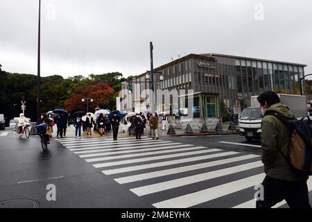 L'elegante viale Omotesandō, costeggiata da eleganti negozi di design e caffetterie alla moda. Tokyo, Giappone. Foto Stock