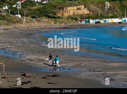 Una giovane coppia con un bambino in un pram e una passeggiata con un cane lungo la deserta Titahi Bay in Nuova Zelanda Foto Stock